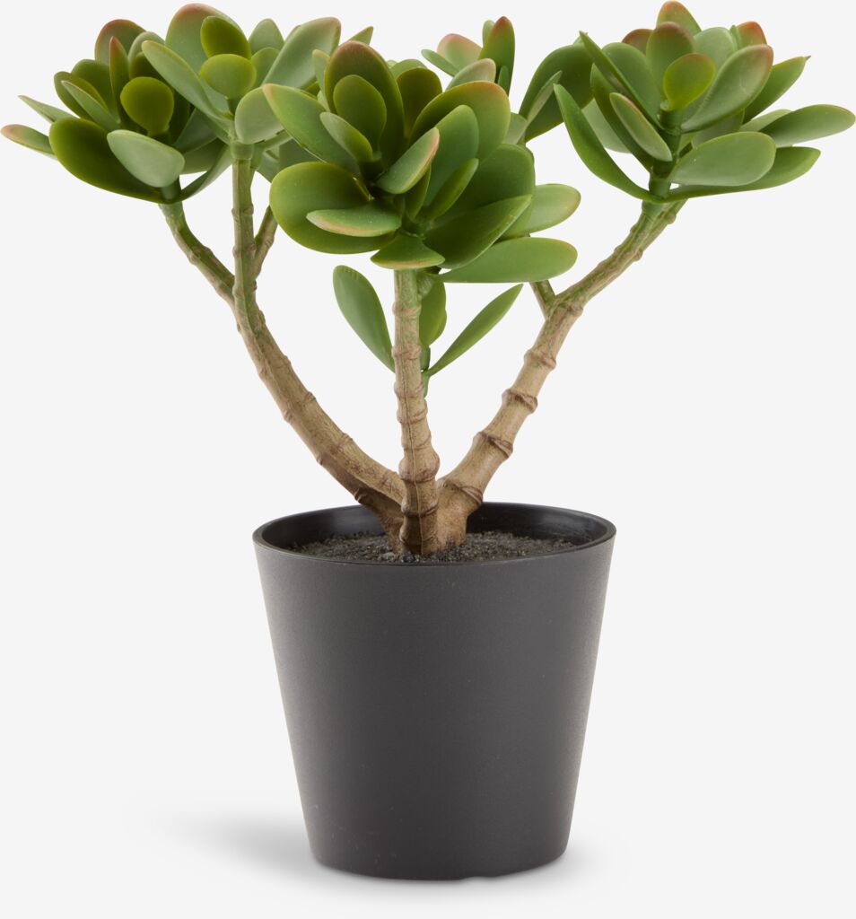 Vještačka biljka JOSTEIN V23cm zelena
