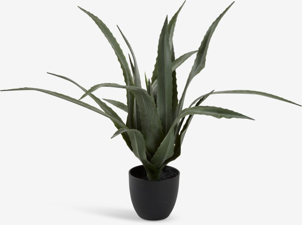 Vještačka biljka CELIUS V65 cm