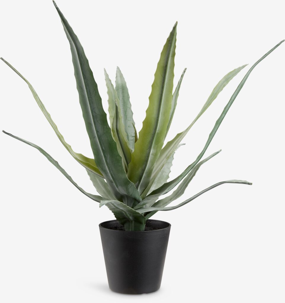 Veštačka biljka CELIUS V39cm zelena