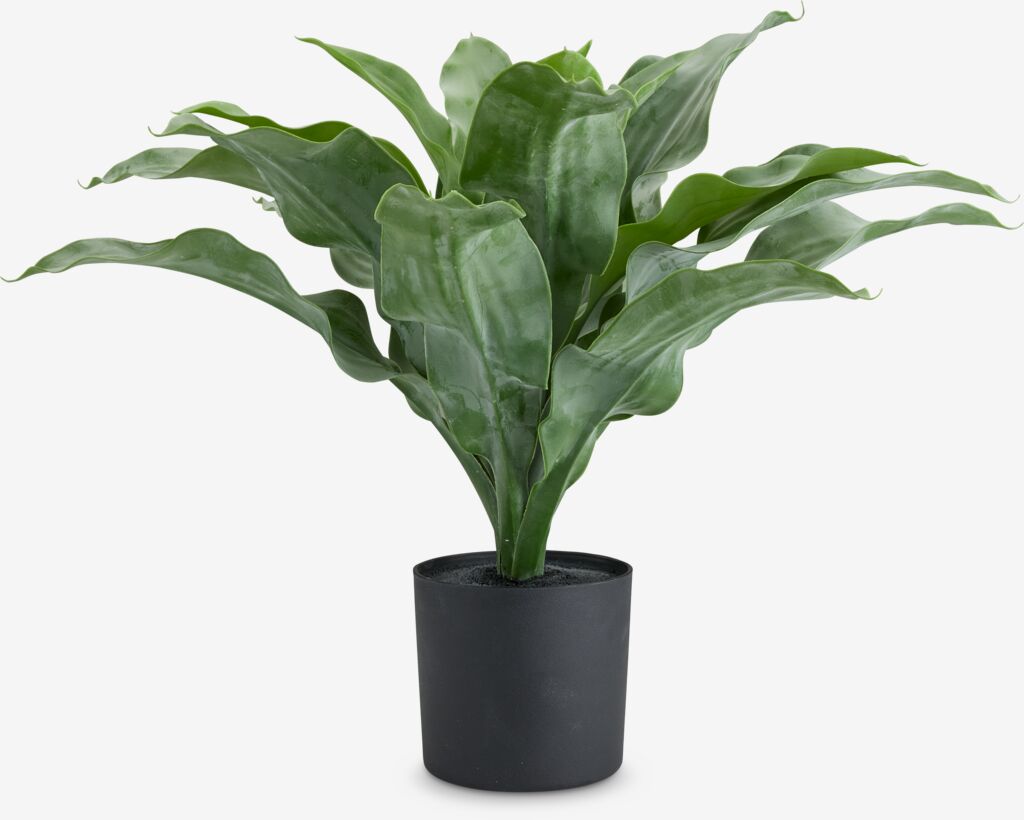 Vještačka biljka ERIKSEN Ø49xv44cm zelena